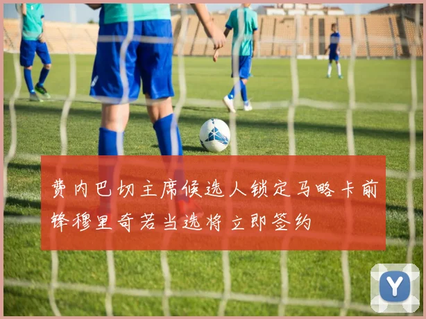 费内巴切主席候选人锁定马略卡前锋穆里奇若当选将立即签约